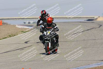 media/Feb-10-2023-TrackDaz (Fri) [[827c11d241]]/C Group/1245pm (Outside Grapevine)/